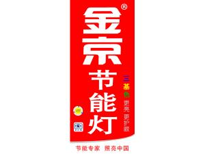 节能灯竖挂条40X95cm